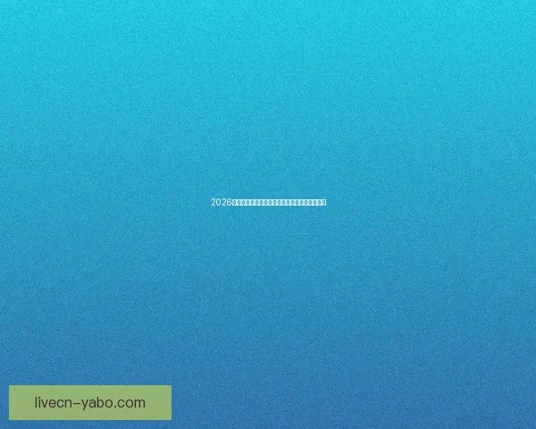 2026年世界杯赛事数据全面解析及各队表现统计分析